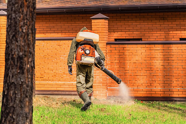 Trusted Ant Control service in Long Hill, CT - Nex Pest Control